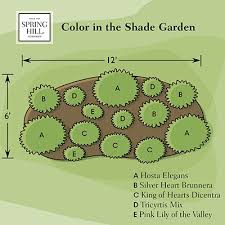 Color In The Shade Garden Spring Hill