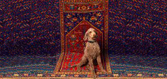 oriental rug sellers pull wool over