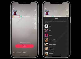 I added our website, kapwing.com. Tiktok Adds A Topic Option For Live Stream Videos Digital Information World