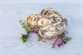 nutrition recipes cooley oysters