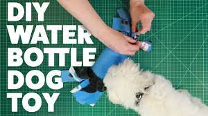 easy diy dog toy the water bottle