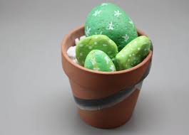 Diy Rock Cactus Garden Craft Project