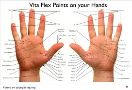 Vita Flex Foot Massage