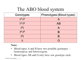 Blood Type Genetics Ppt Video Online Download