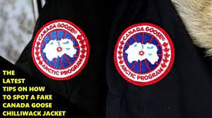 Download canada goose logo & fashion logotypes in hd quality for free download. Real Vs Replica Canada Goose How To Spot A Fake Canada Goose Jacket Youtube