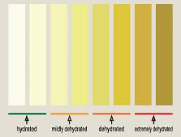 urine colour chart what s the normal