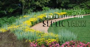 How To Disguise Your Septic Tank A 1