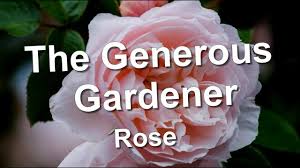 the generous gardener rose you