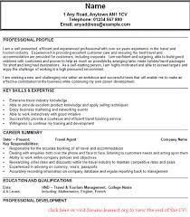 Manager Resume Example