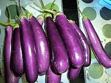 (a pretentious italian word for eggplant mousse). Eggplant Wikipedia