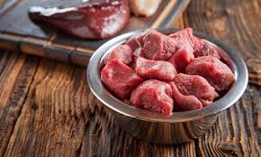 pros cons of raw dog food 2024 guide