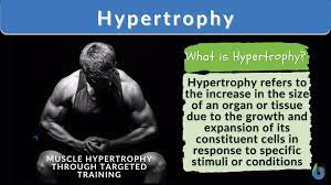 hypertrophy definition and exles