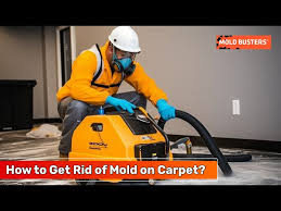 carpet mold busters