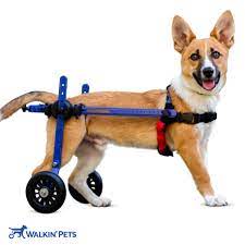 dog wheelchair for toy breeds cat