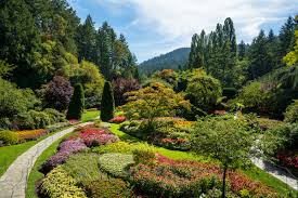 8 best experiences at butchart gardens