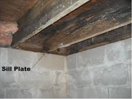 crawl e structural floor repairs