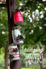 Hanging Succulent Garden With