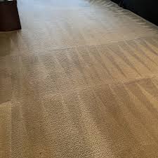 upholstery cleaning in dearborn mi