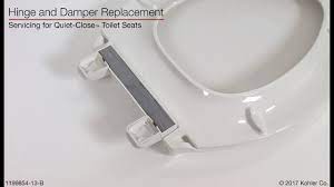 Hinge and Damper Replacement - Quiet-Close Toilet Seats - YouTube