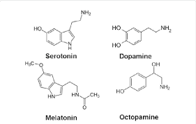 serotonin dopamine melatonin