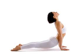 Check spelling or type a new query. Top 5 Yoga Poses For Stronger And Toned Arms Doyou