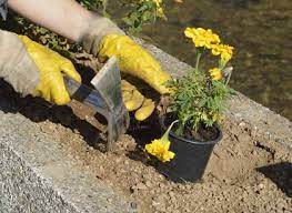 Improve Clay Soil In The Flower Garden