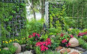 The Vertical Garden 4 Practical Tips