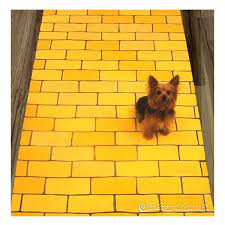 yellow brick road ybr