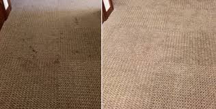 atlanta carpet repair pros