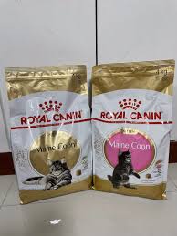 royal canin maine kitten 4kg