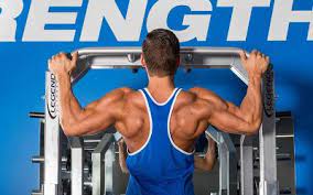 8 week muscle building bodyweight workout