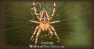 Spider Symbolism Meaning Spirit