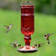 antique glass bottle hummingbird feeder