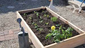 As of february 2015, approximately 95,628,000 american households (82.2% of households with. How To Plant A Vegetable Garden Youtube
