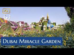 dubai miracle garden you