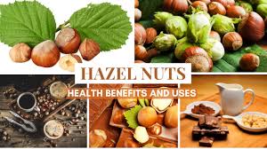 hazelnuts 11 ways benefits your