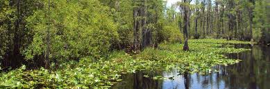 okefenokee sw folklife