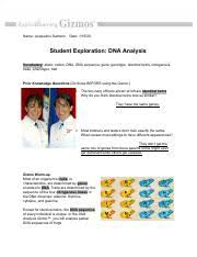 In the dna analysis gizmo™, you will analyze partial dna sequences of frogs. Student Exploration Dna Analysis Answer Key Docx Student Exploration Dna Analysis Answer Key Download Student Exploration Dna Analysis Vocabulary Course Hero