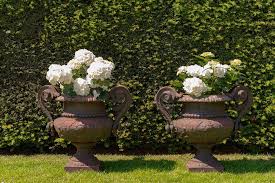 Antique Cast Iron French Garden Urns