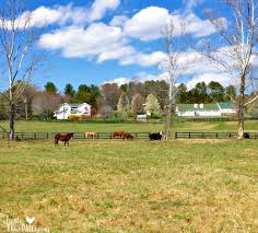 How Much Space Does A Homestead Need For Livestock Fresh