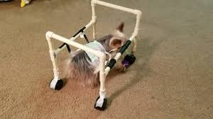homemade dog wheelchair you