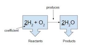 How are chemical equations balanced? Snc2p