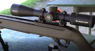 the ruger 10 22 warne scope mounts