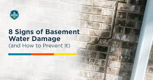 Basement Water Damage Signs