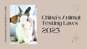 china s testing laws 2023