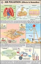 Air Pollution Effects Remedies For Man Enviroment Chart