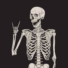 skeleton images browse 1 013 280