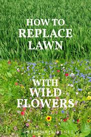 replace lawn with wildflower seed mix