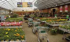 ayrshire garden centres