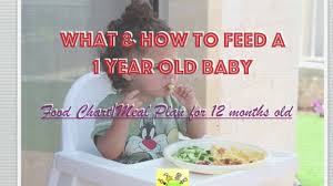 Food Chart For 1 Year Old Baby Meal Plan For 12 Months Old Baby